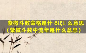 紫微斗数命格是什 🦟 么意思（紫微斗数中流年是什么意思）